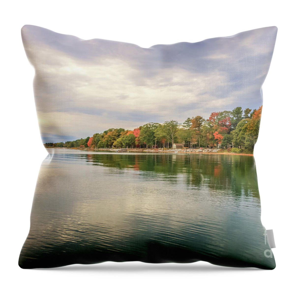 Elizabeth Dow Throw Pillow featuring the photograph Just For Me by Elizabeth Dow