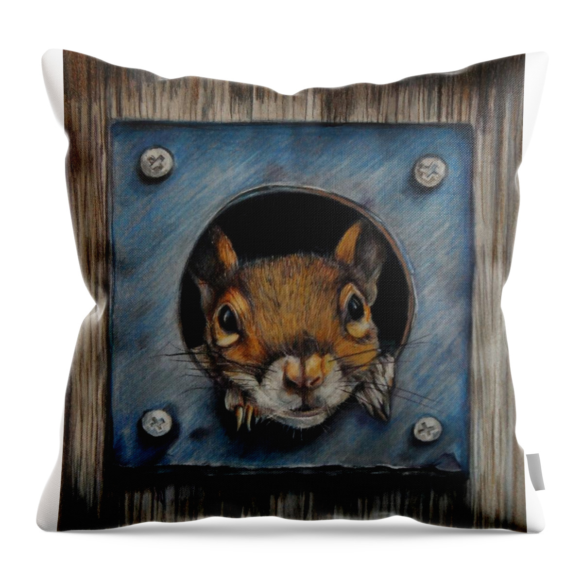 Squirrel Throw Pillow featuring the drawing Just Hanging Out by Jean Cormier
