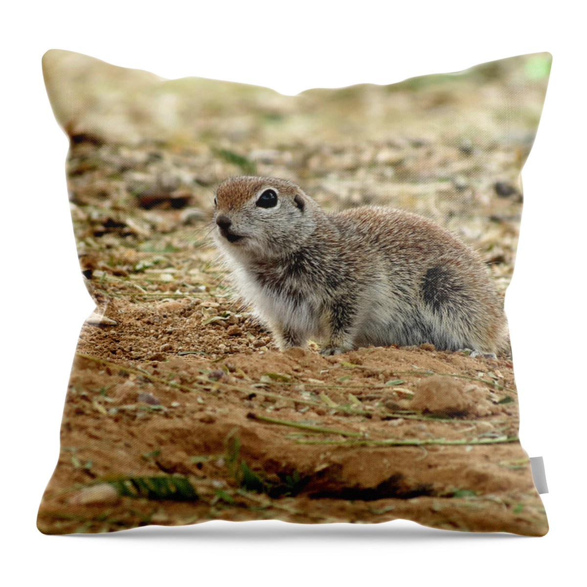 Animal Throw Pillow featuring the photograph Just Hanging Out by Laurel Powell