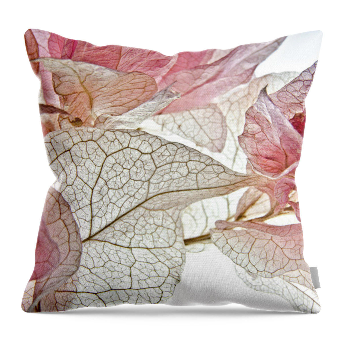 Macro Throw Pillow featuring the photograph Just Joy by Jean Booth