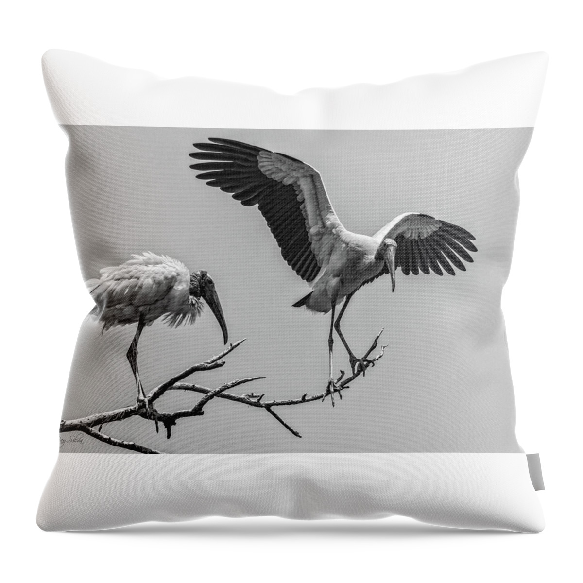Coastal Throw Pillow featuring the photograph Just Landing by Ray Silva