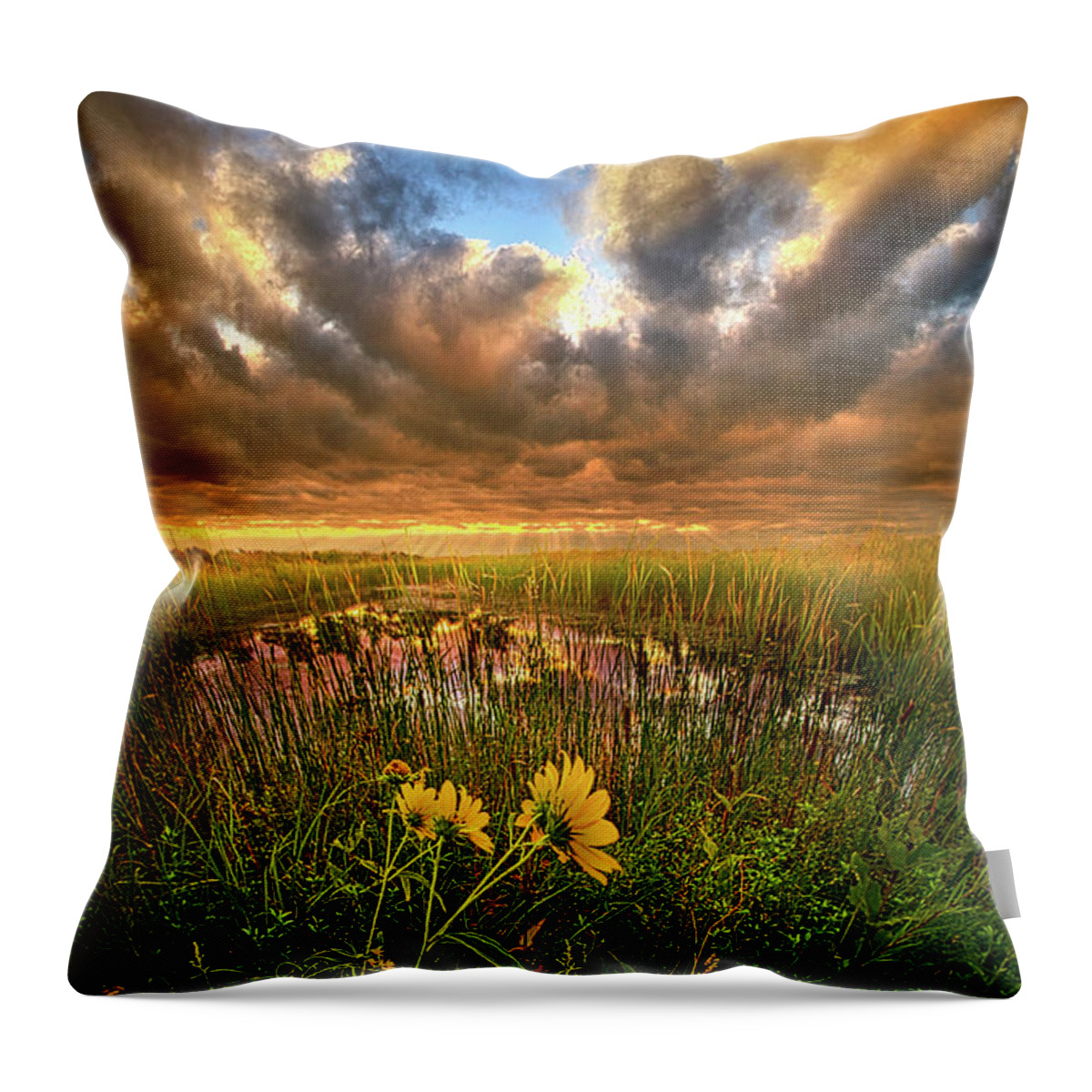 Summer Throw Pillow featuring the photograph Just Moving SLow by Phil Koch