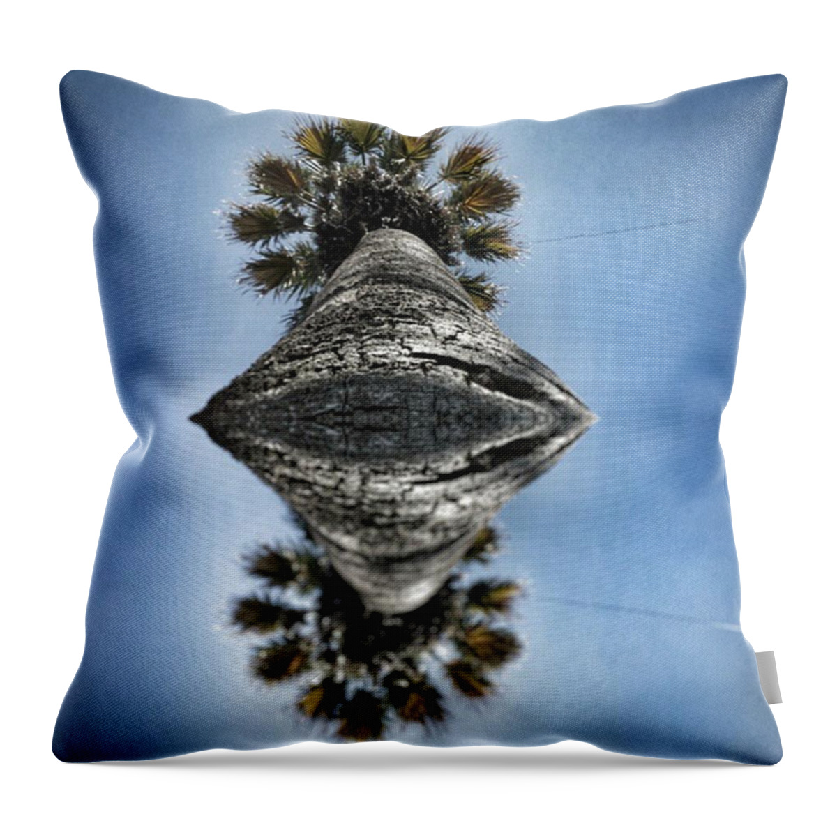 Sunnyday Throw Pillow featuring the photograph Just One Perspective by Jorge Ferreira