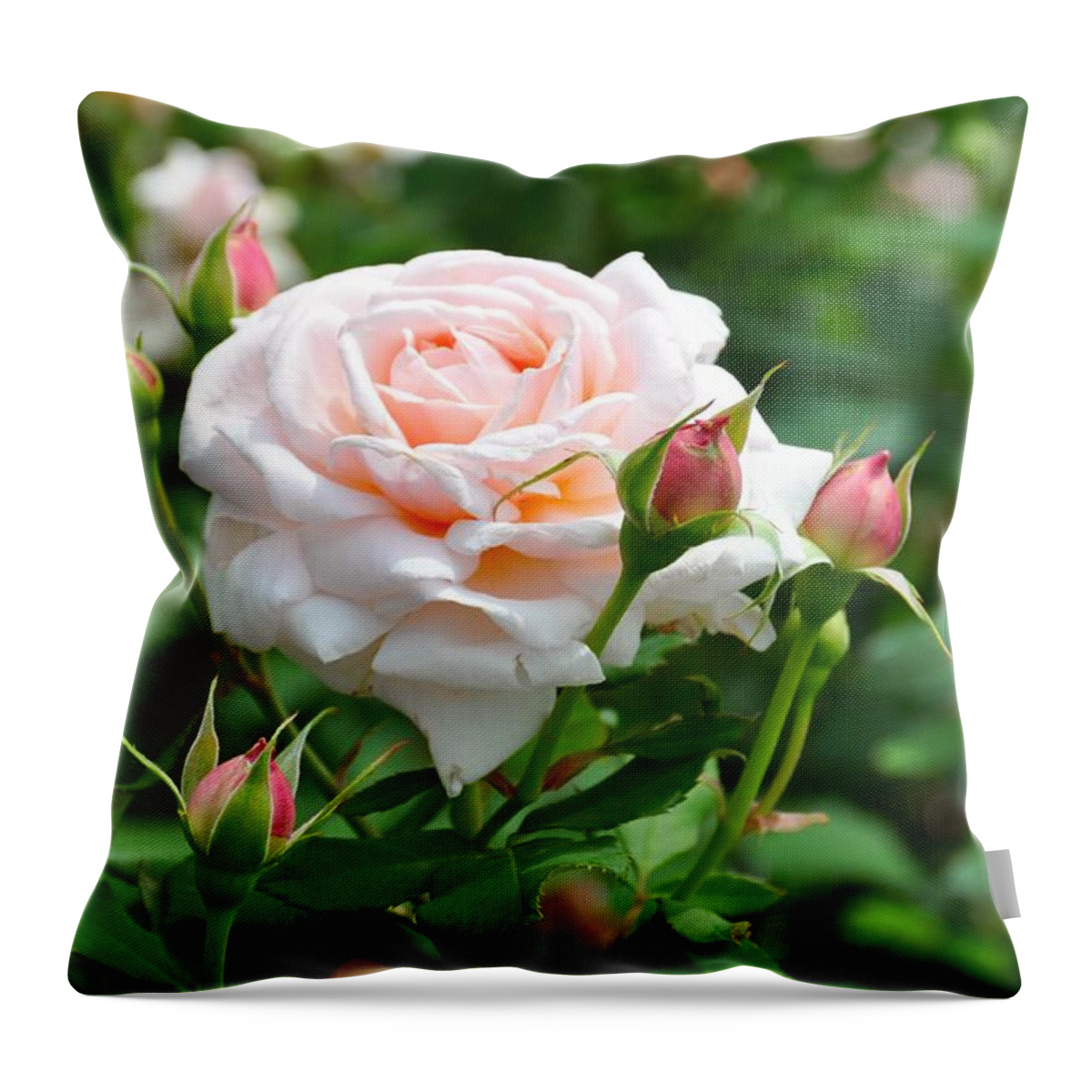 Roses Throw Pillow featuring the photograph Just Peachy by Cornelia DeDona