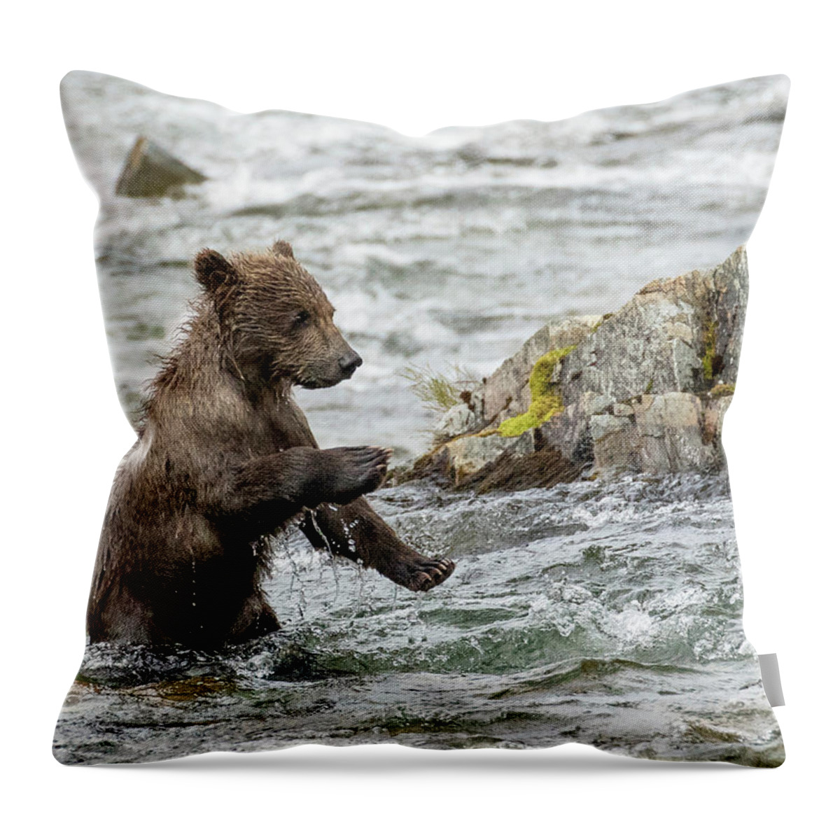 Alaska Throw Pillow featuring the photograph Just Practicing by Cheryl Strahl