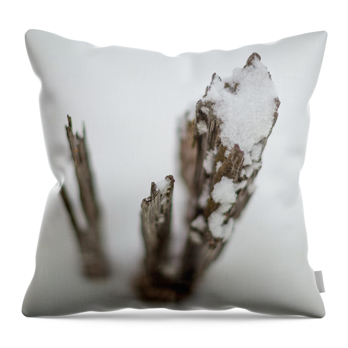 Abstract Throw Pillow featuring the photograph Jutting out at f1.2 by Jakub Sisak