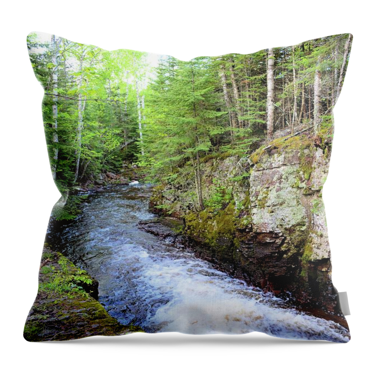 Nature Throw Pillow featuring the photograph Kadunce River 2 by Bonfire Photography