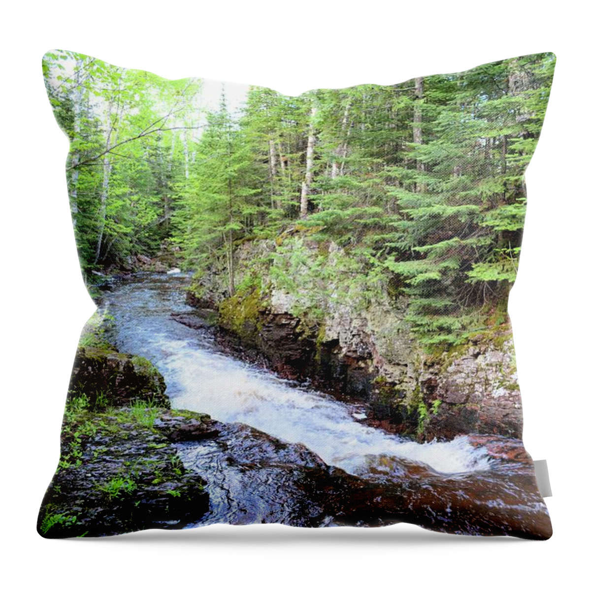 Nature Throw Pillow featuring the photograph Kadunce River by Bonfire Photography