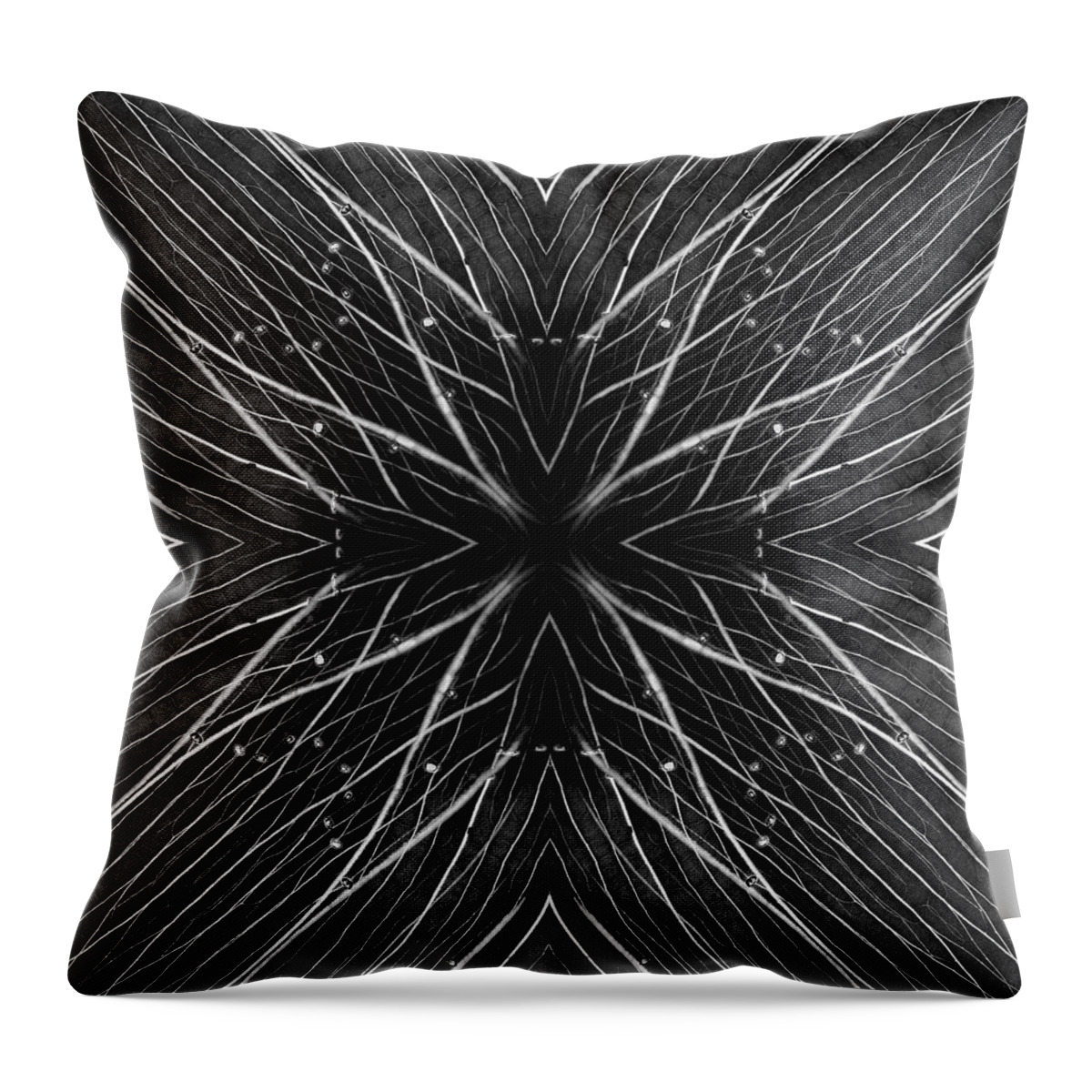 Kaleidoscope Throw Pillow featuring the photograph Kal4 by Morgan Wright