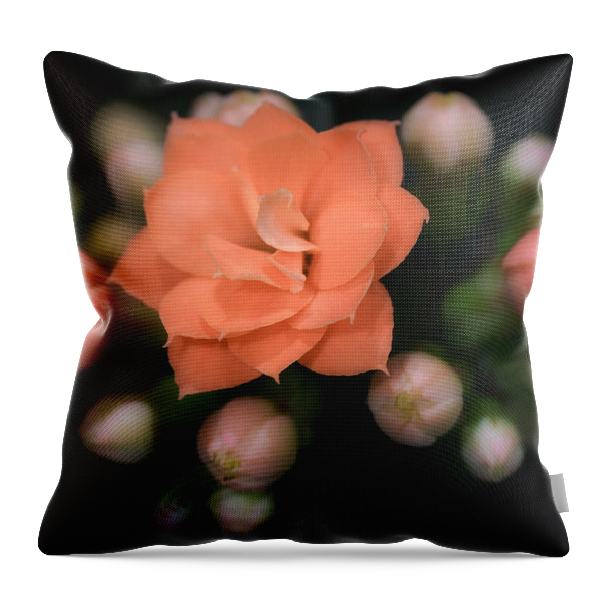 Kalanchoe Throw Pillow featuring the photograph Kalanchoe by James Barber