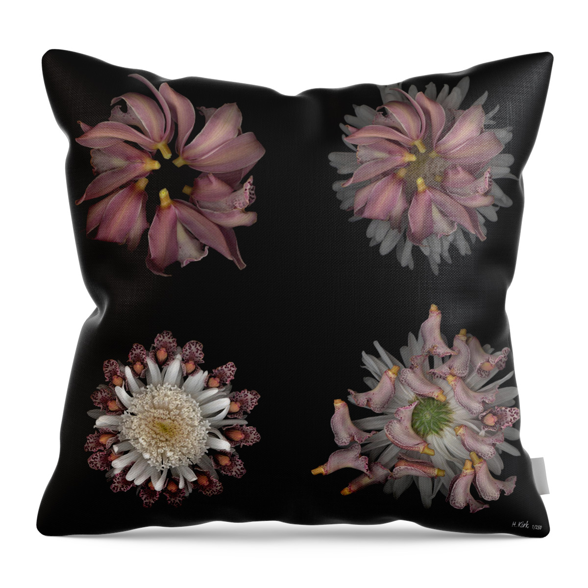  Throw Pillow featuring the photograph Kaleidoscope Block Two by Heather Kirk