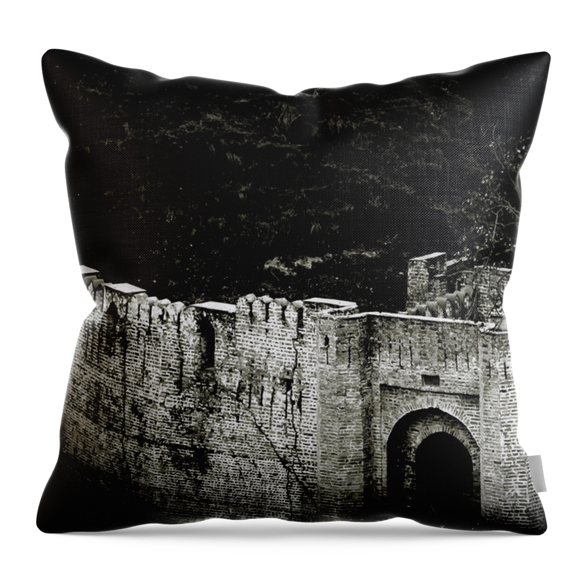 India Throw Pillow featuring the photograph Kangra Fort Gate by Rajiv Chopra