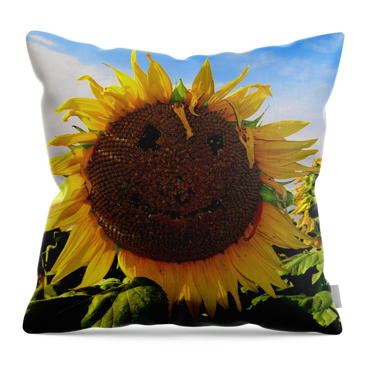 Sunflower Throw Pillow featuring the photograph Kansas Sunflower by Keith Stokes