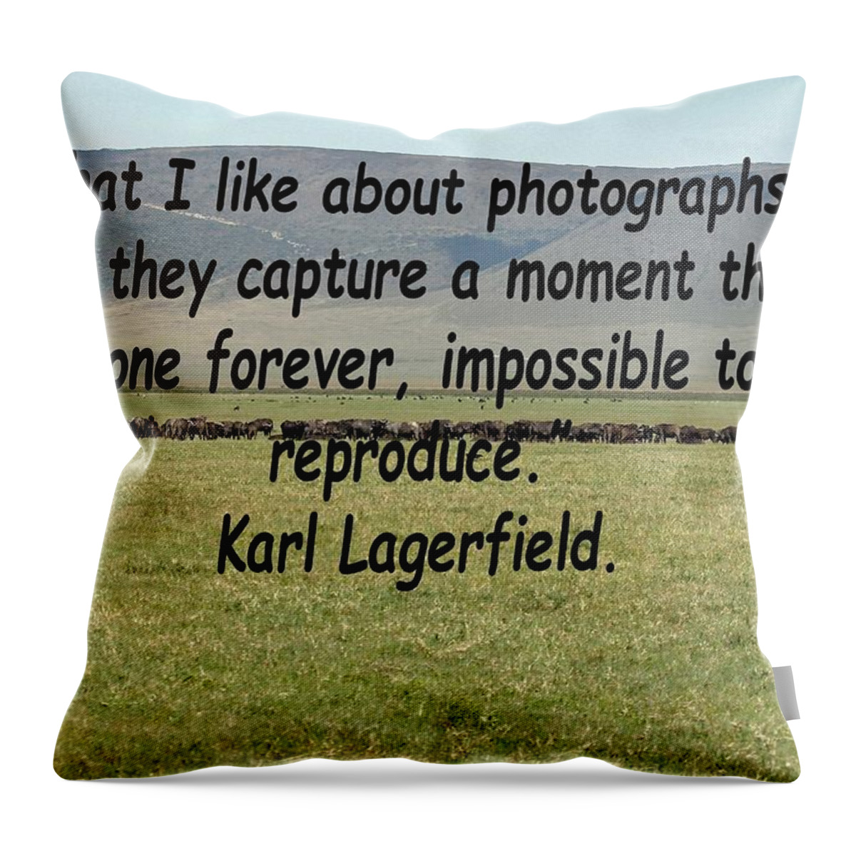Karl Lagerfeld Throw Pillow featuring the photograph Karl Lagerfeld Quote by Tony Murtagh