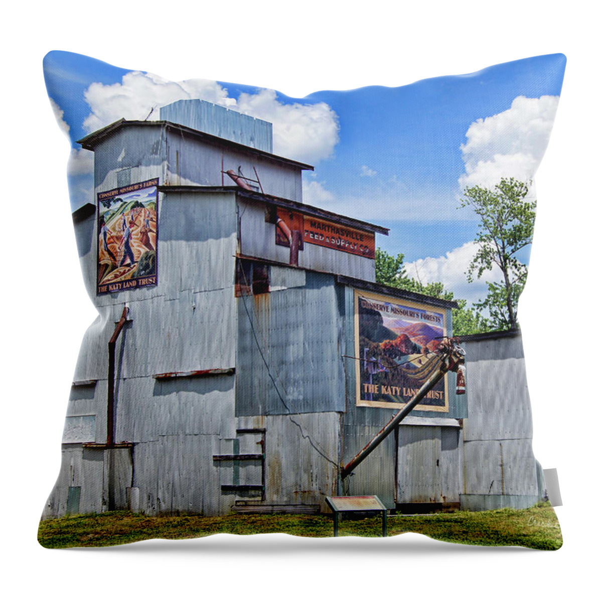 Elevator Throw Pillow featuring the photograph Katy Land Trust Murals at Treloar by Cricket Hackmann