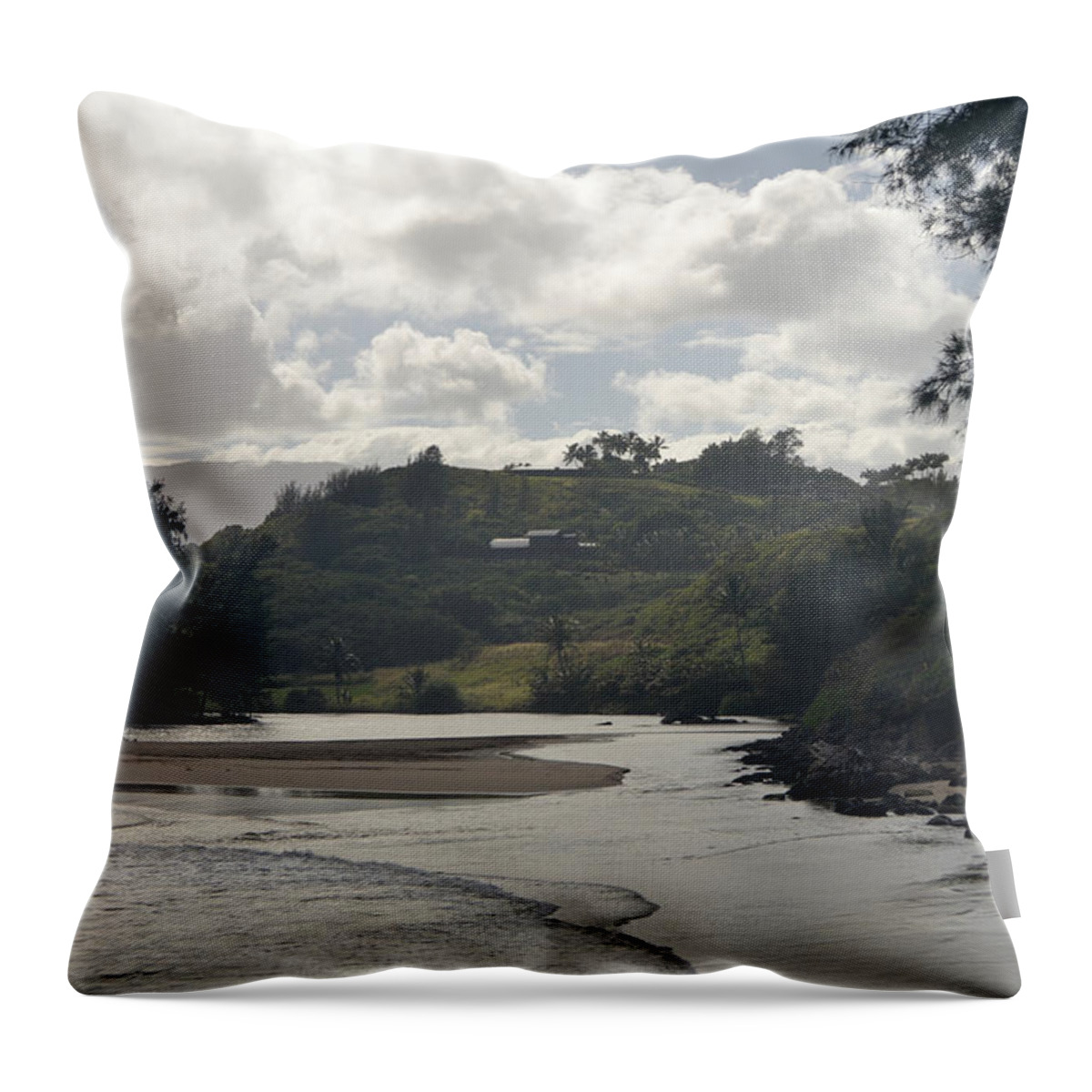 Kauai Throw Pillow featuring the photograph Kauai Kahili Beach 1 by Amy Fose