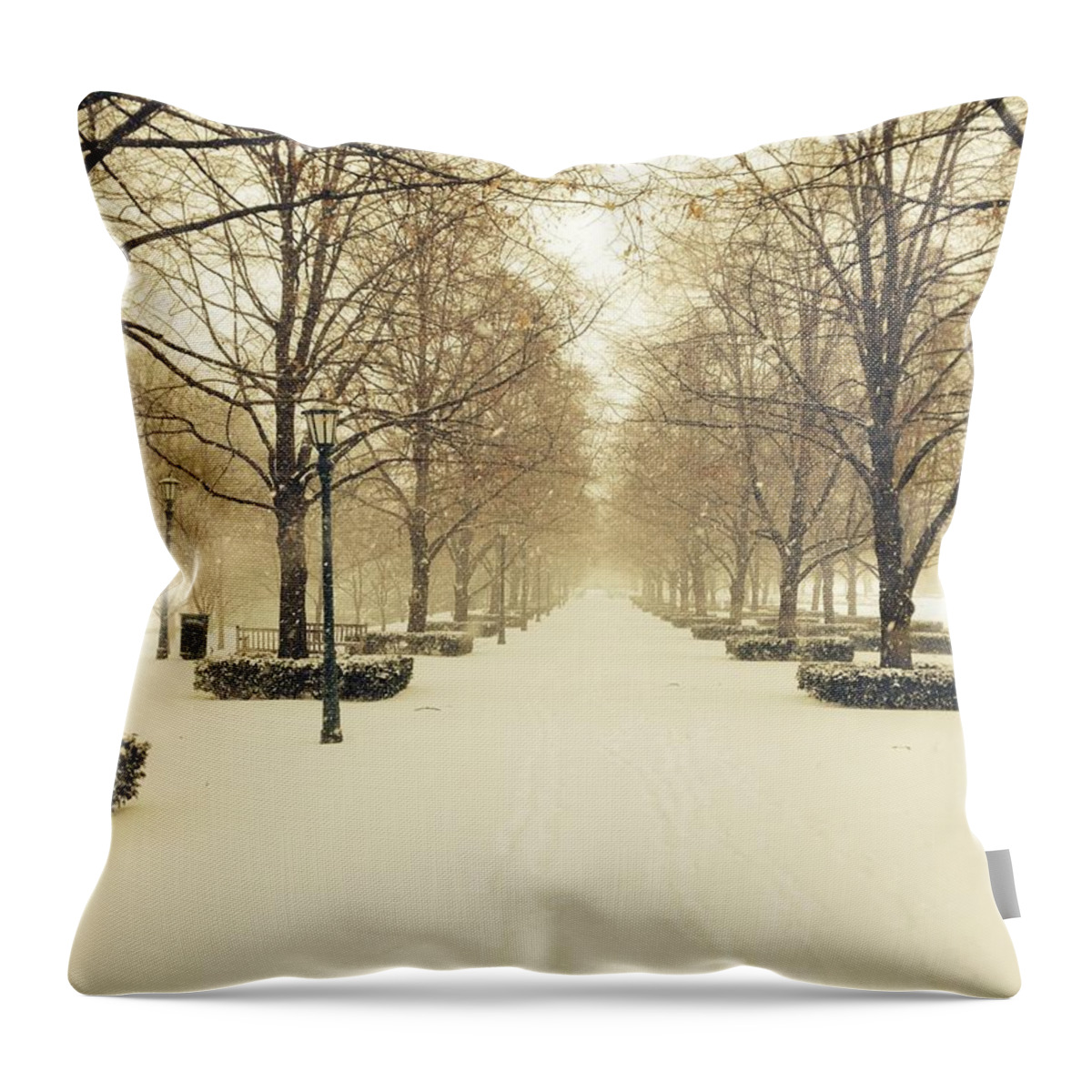 Kc Throw Pillow featuring the photograph KC Snow with Parisian Flare by Michael Oceanofwisdom Bidwell