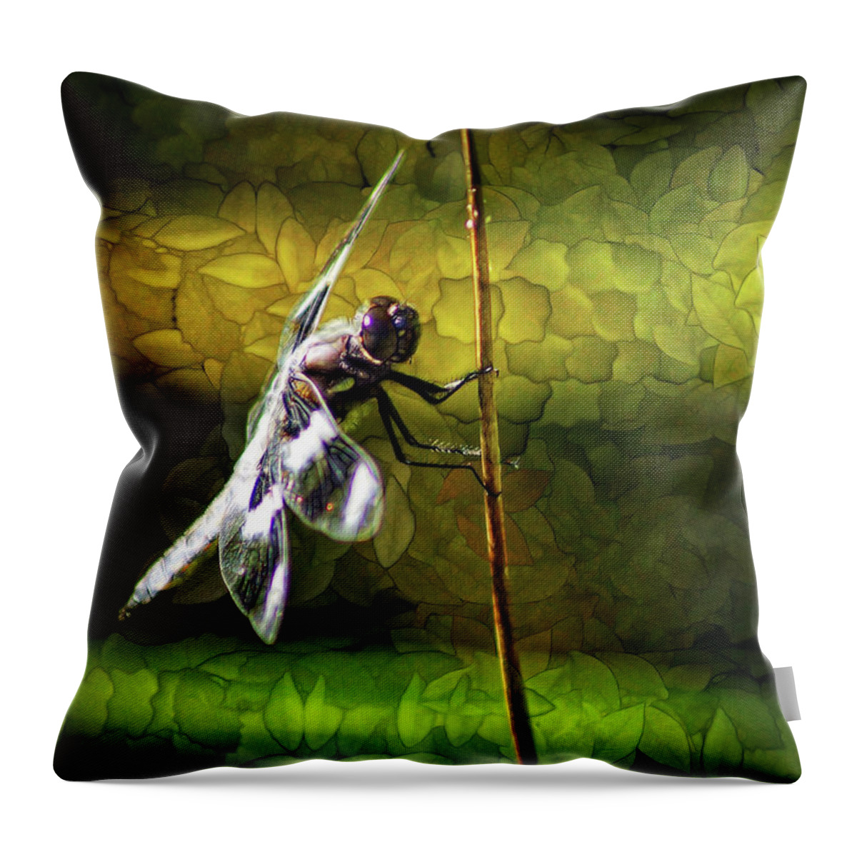 Dragonfly Throw Pillow featuring the photograph Keeping An Eye On You by Cameron Wood