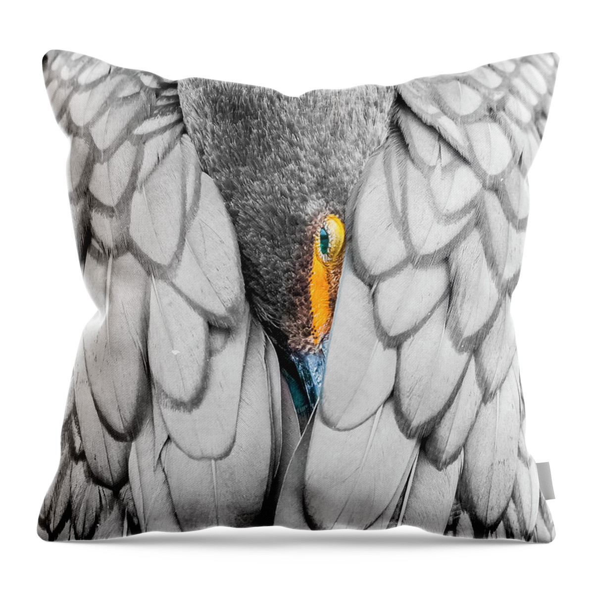  Throw Pillow featuring the photograph Keeping warm. by Usha Peddamatham