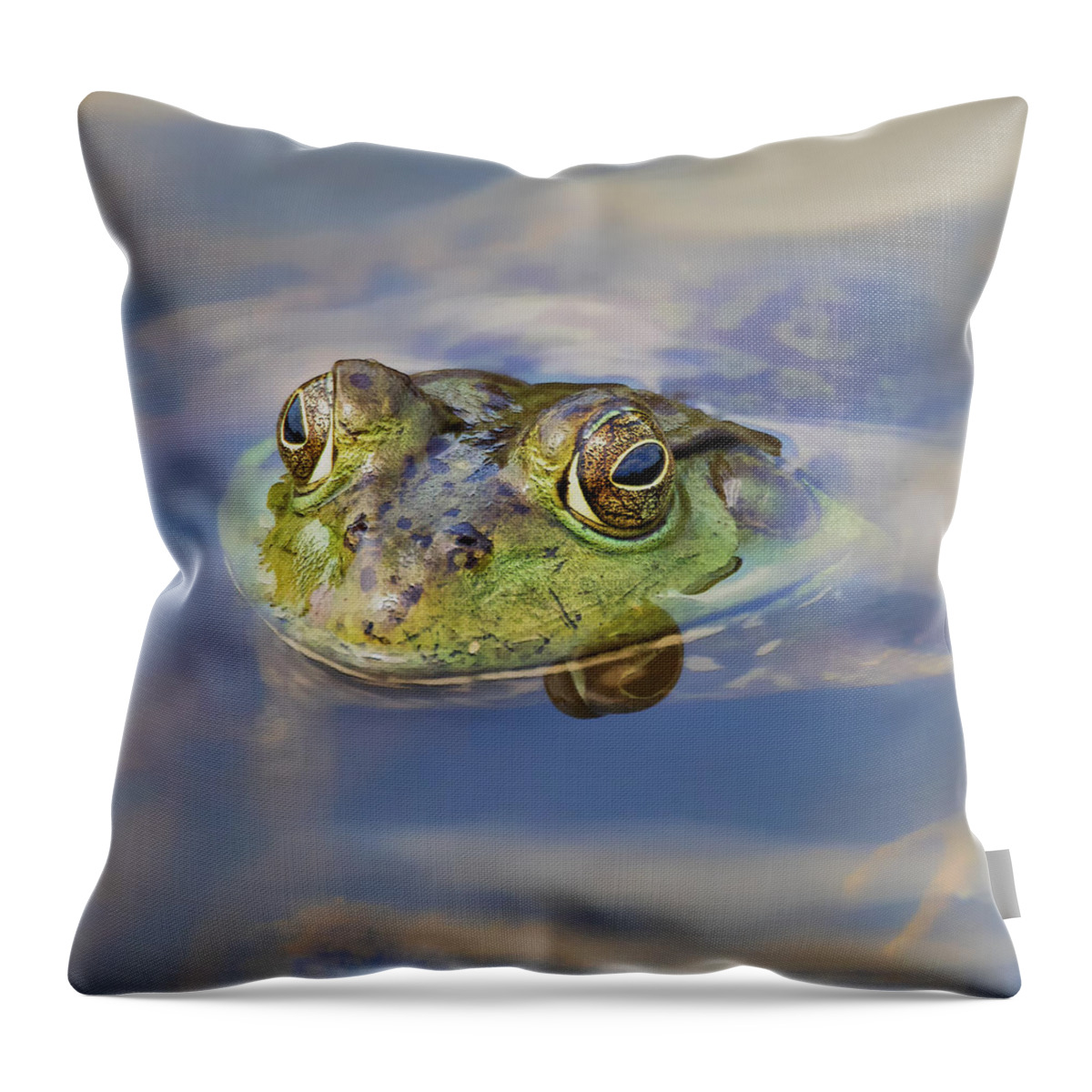 Amphibian Throw Pillow featuring the photograph Kermie by Bill and Linda Tiepelman