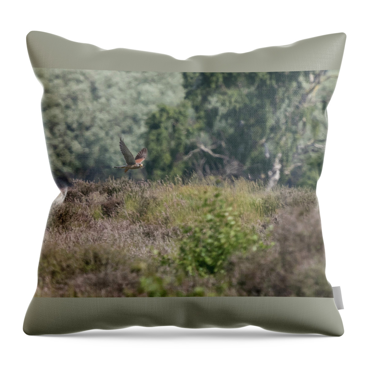 ©wendy Cooper Throw Pillow featuring the photograph Kestrel by Wendy Cooper