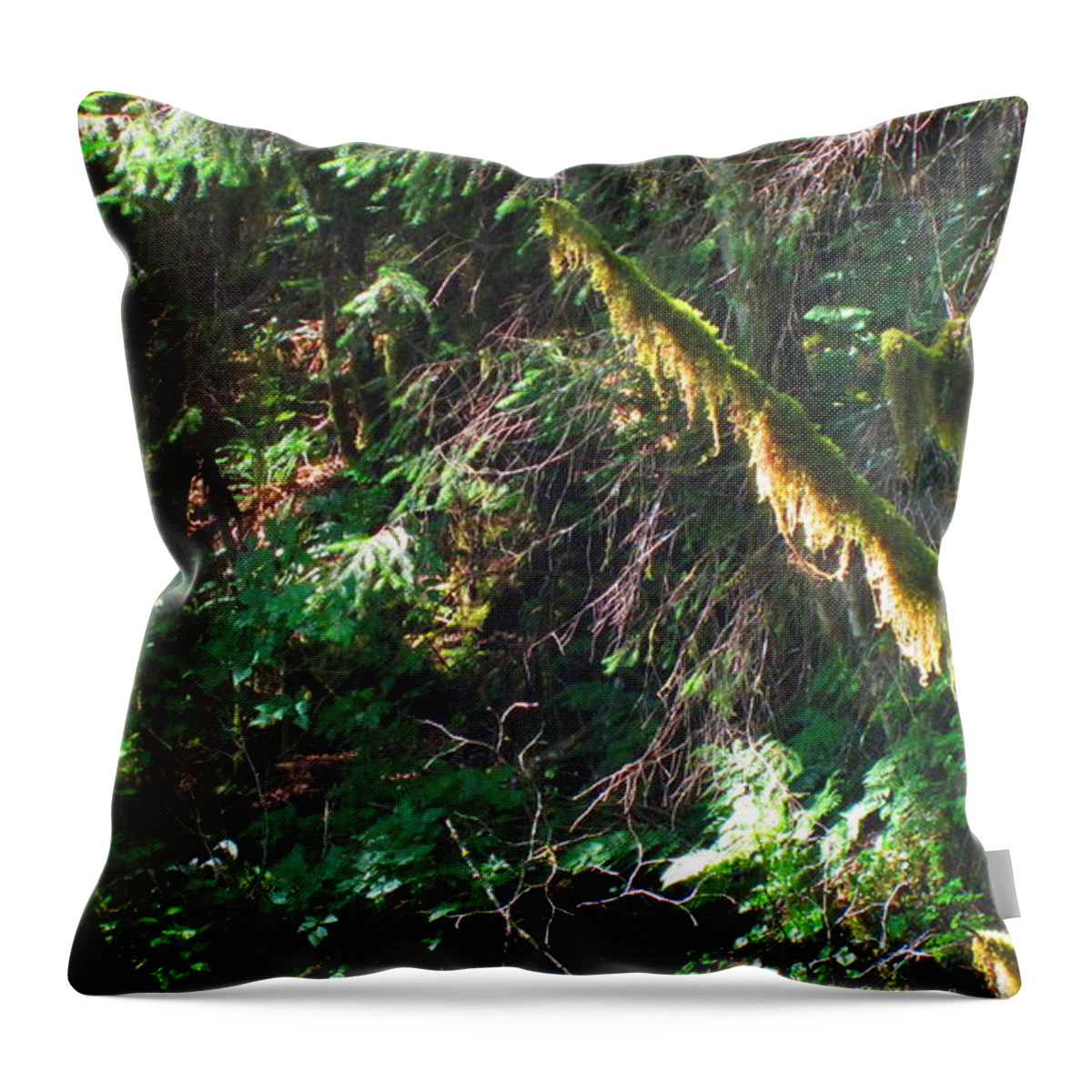 Ketchikan Throw Pillow featuring the photograph Ketchikan Green by Laurianna Taylor
