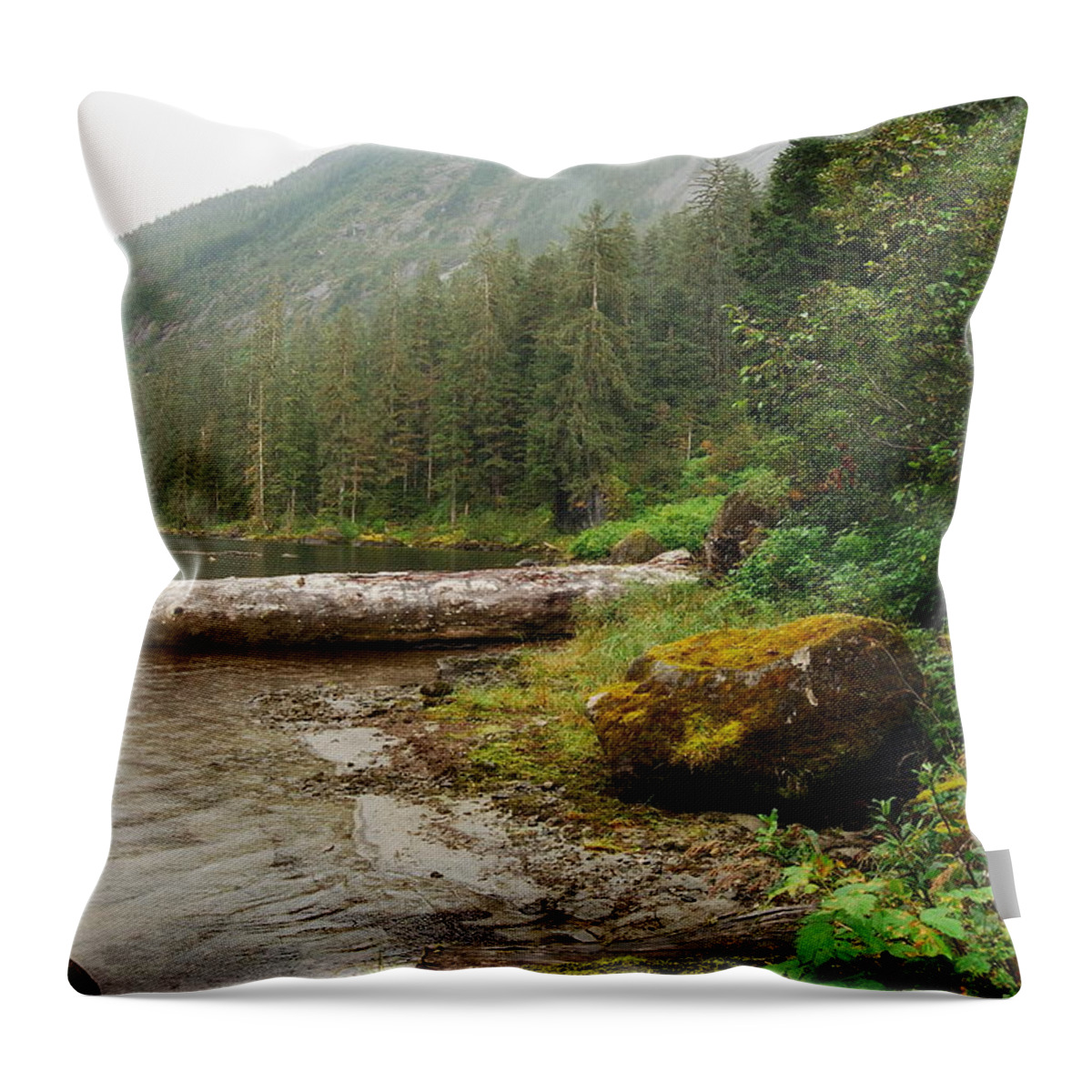Alaska Throw Pillow featuring the photograph Ketchikan's Misty Fjord by Michael Peychich