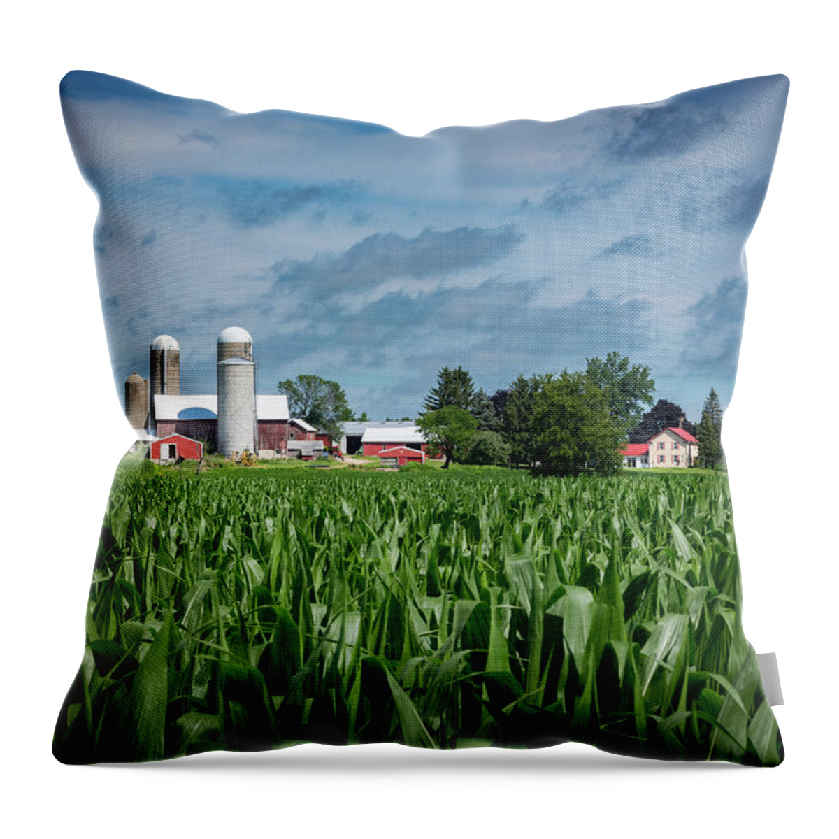 Farm Throw Pillow featuring the photograph Kewaskum Farm I by James Meyer