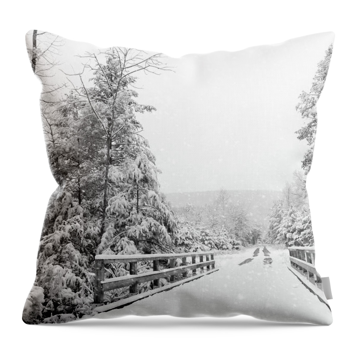 Snow Throw Pillow featuring the photograph Kindness Is Like Snow by Lori Deiter