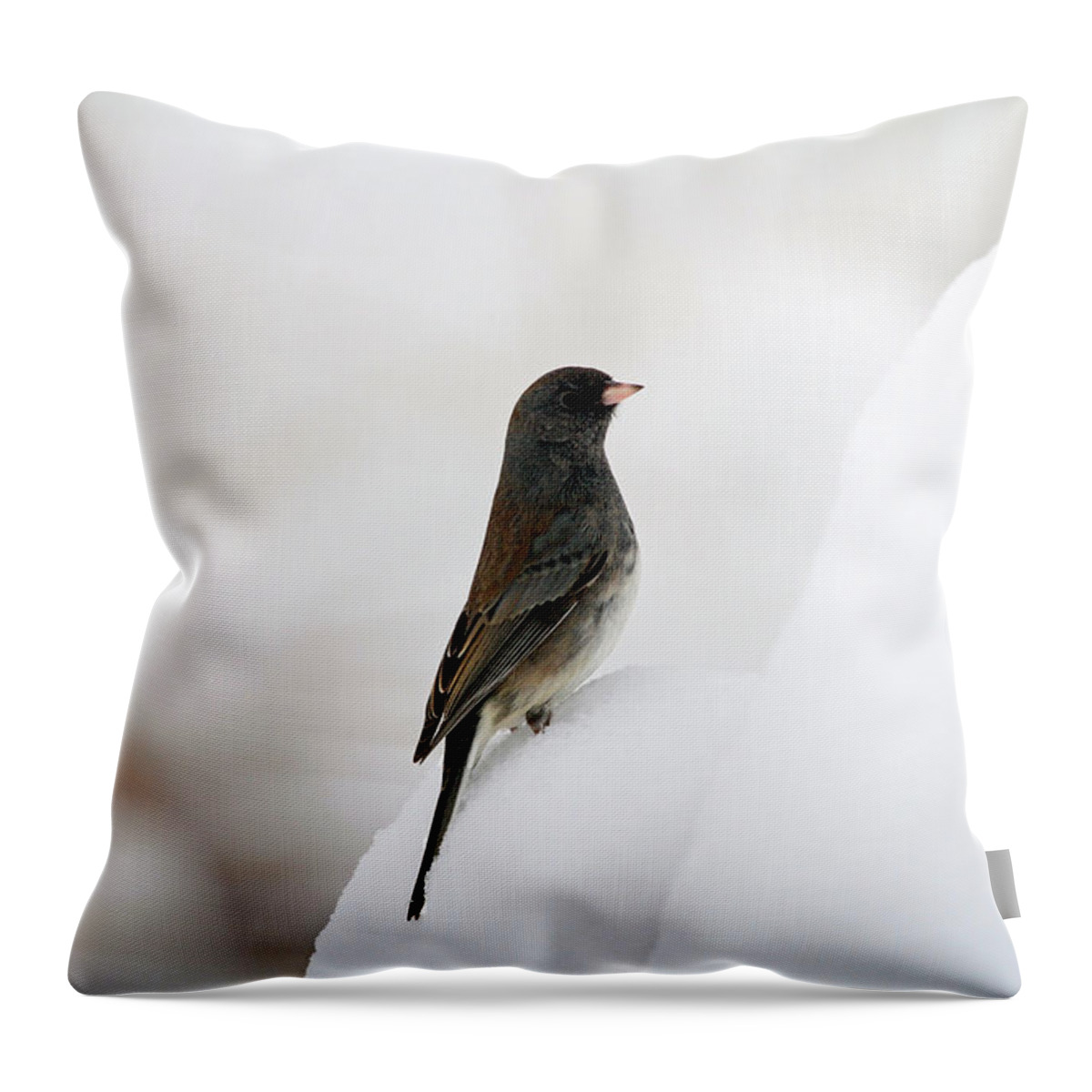 Junco Throw Pillow featuring the photograph King of the Hill by Jackson Pearson