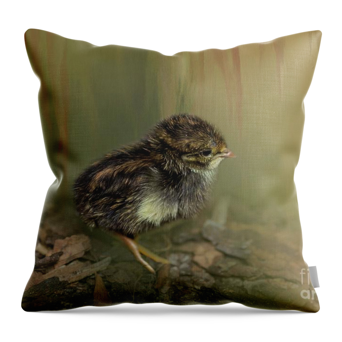 King Quail Throw Pillow featuring the photograph King Quail Chick by Eva Lechner