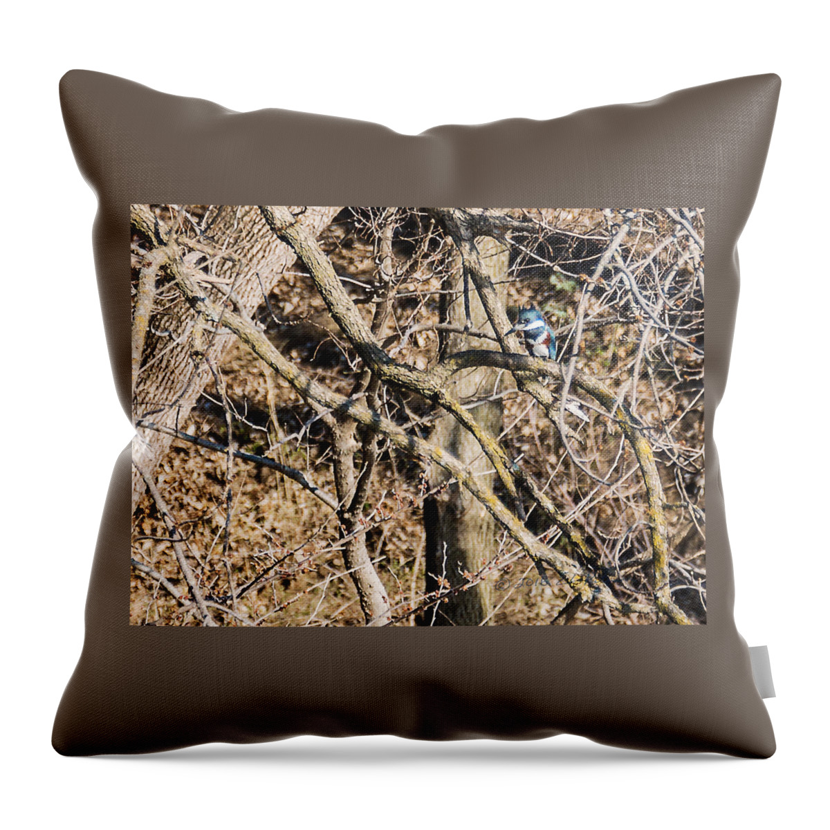 Kingfisher Throw Pillow featuring the photograph Kingfisher Hunting by Ed Peterson