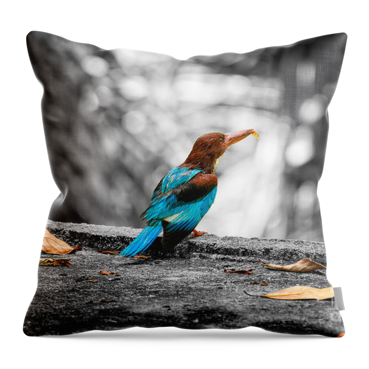 Kingfisher Carrying A Prey Throw Pillow featuring the photograph Kingfisher by Venura Herath