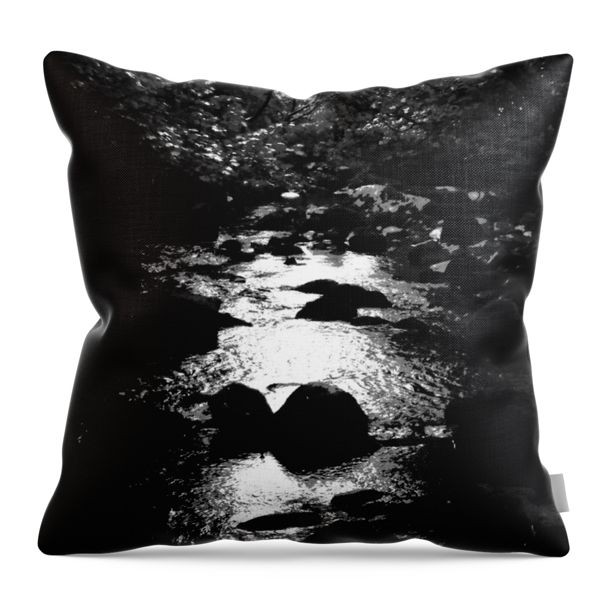 Stream Throw Pillow featuring the photograph Kintyre Plus Seventeen by Peter McClure