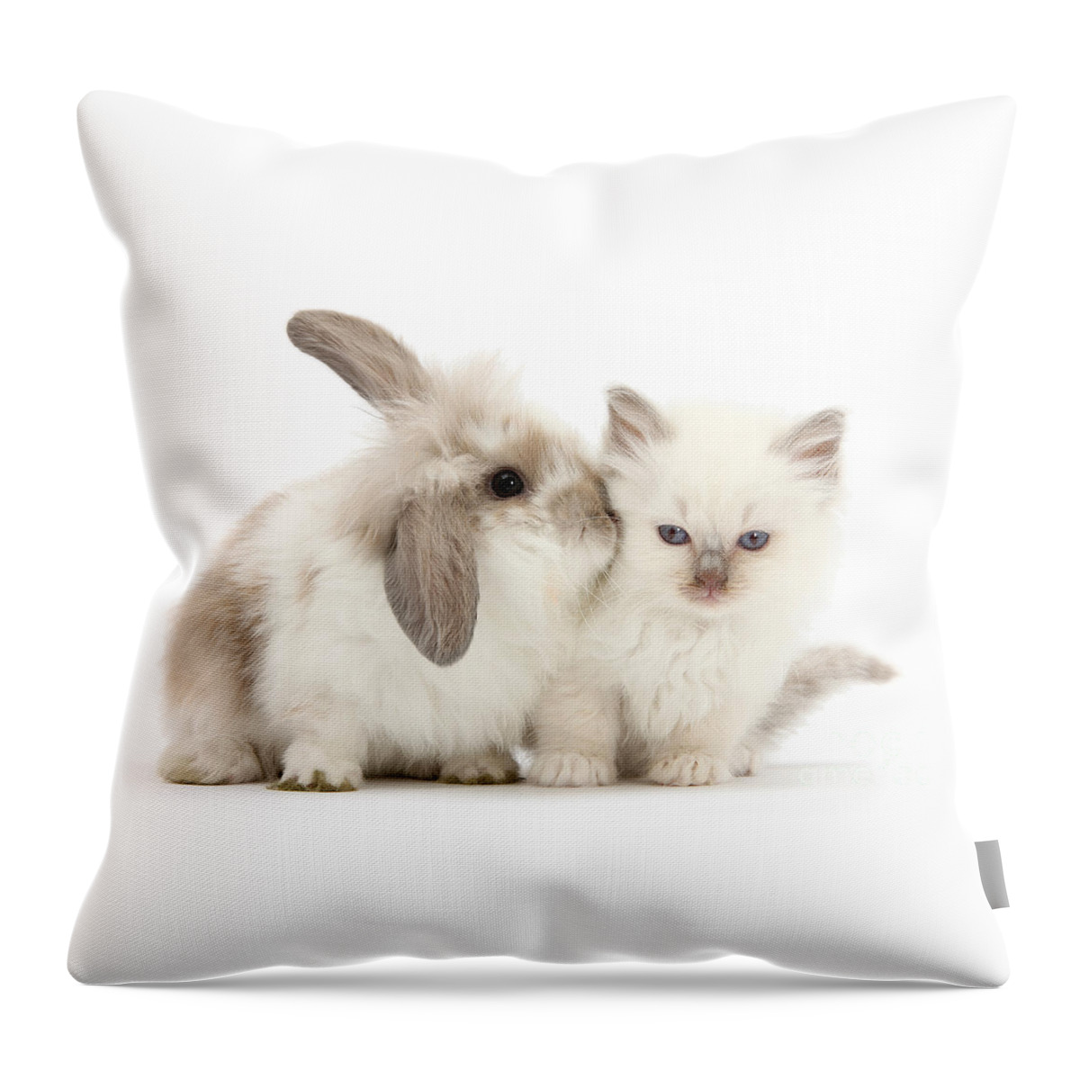 Young Throw Pillow featuring the photograph Kiss her Fluffy Cheek by Warren Photographic