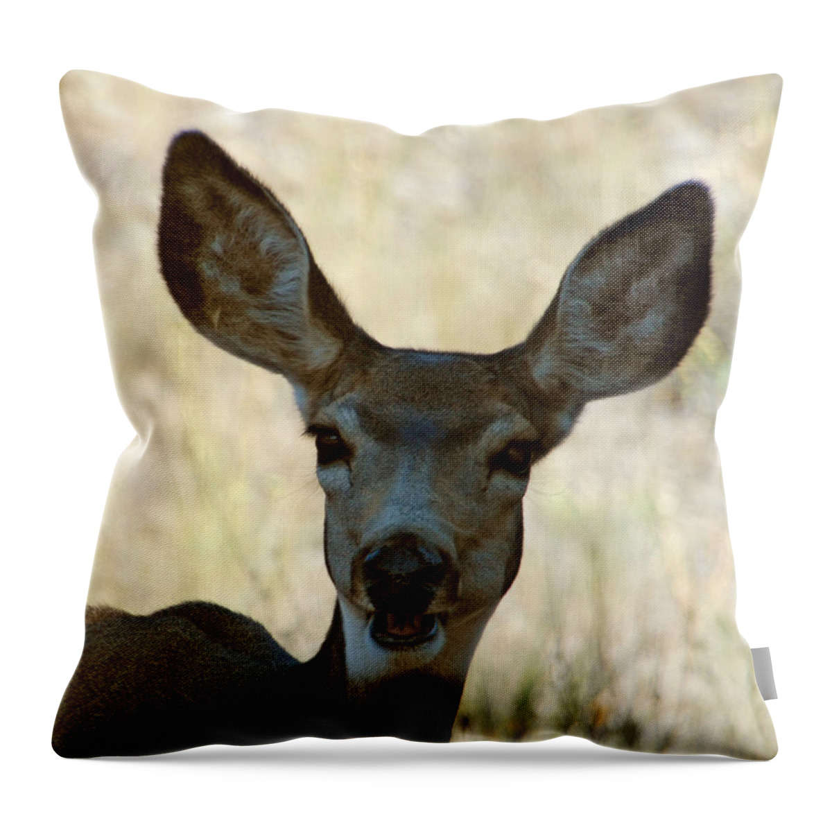 Deer Throw Pillow featuring the photograph Kiss Me by Donna Blackhall