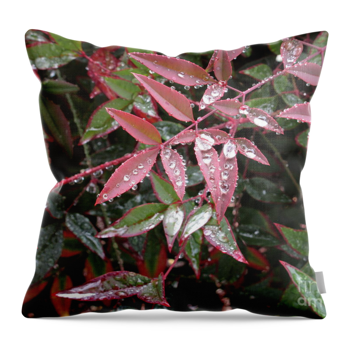 Kissed Throw Pillow featuring the photograph Kissed with moisture by Marie Neder