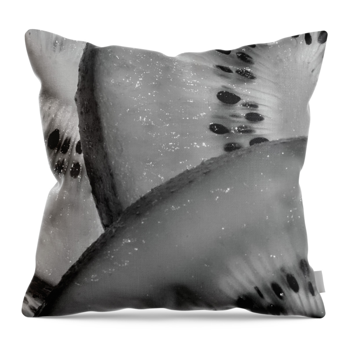 Kiwi Throw Pillow featuring the photograph Kiwi Art by James Woody