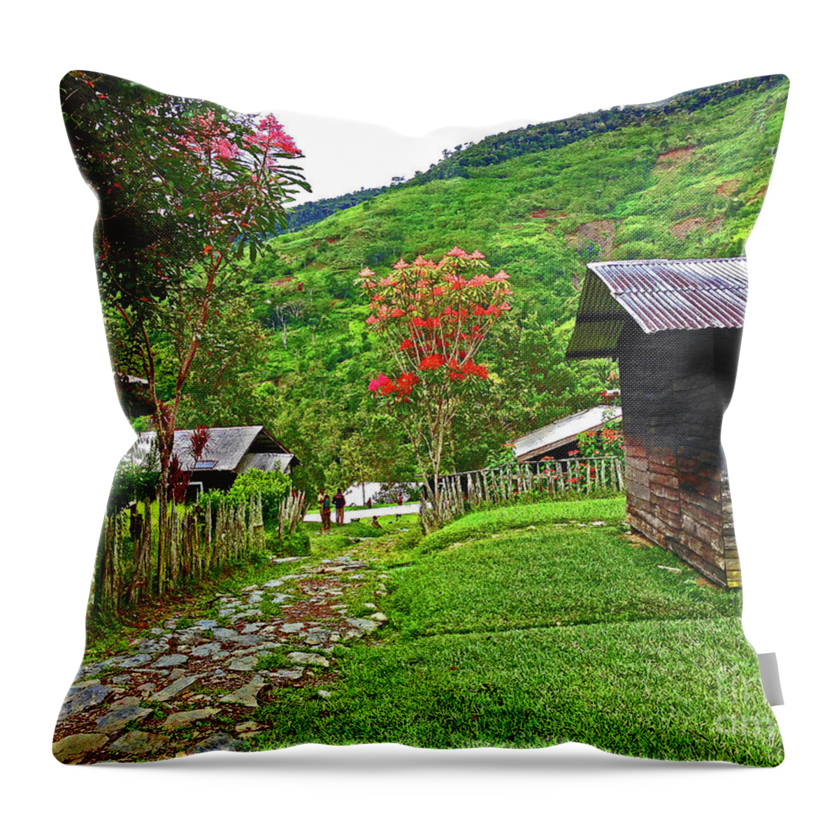 Village Throw Pillow featuring the photograph Kiwi Village of Papua by Eunice Warfel