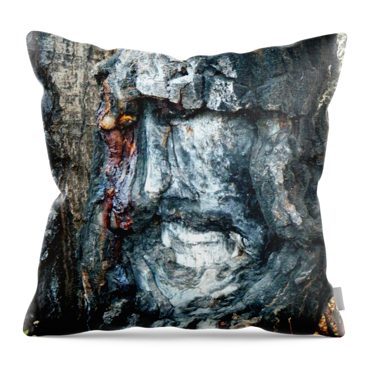 Wood Throw Pillow featuring the photograph Knight of the Lemanasky Wood by Jamie Johnson