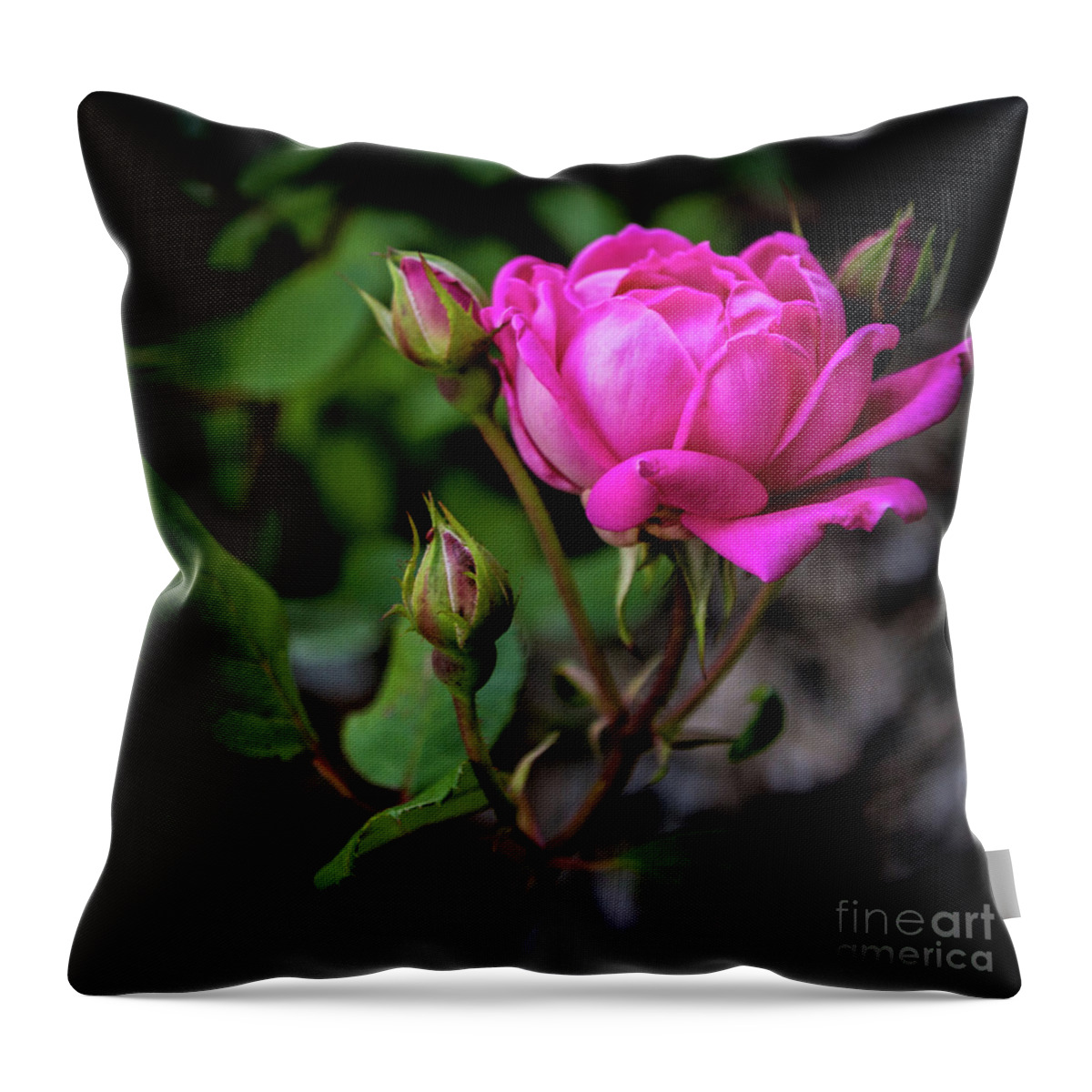 Rose Throw Pillow featuring the photograph Knockout Rose by Cheryl McClure