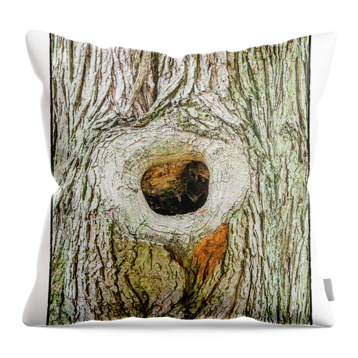 Tree Throw Pillow featuring the photograph Knot by R Thomas Berner
