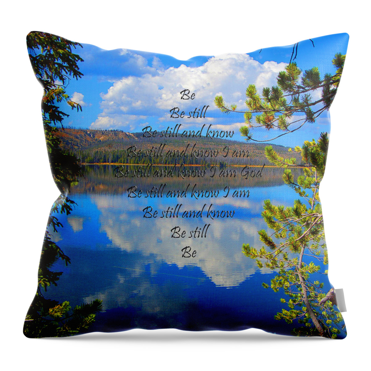 Diane Berry Throw Pillow featuring the photograph Know I Am by Diane E Berry