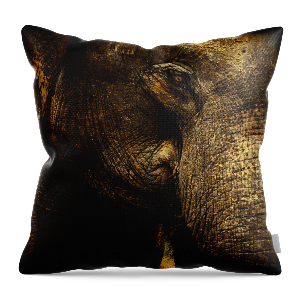 Elephant Throw Pillow featuring the photograph Knowing by Andrew Paranavitana