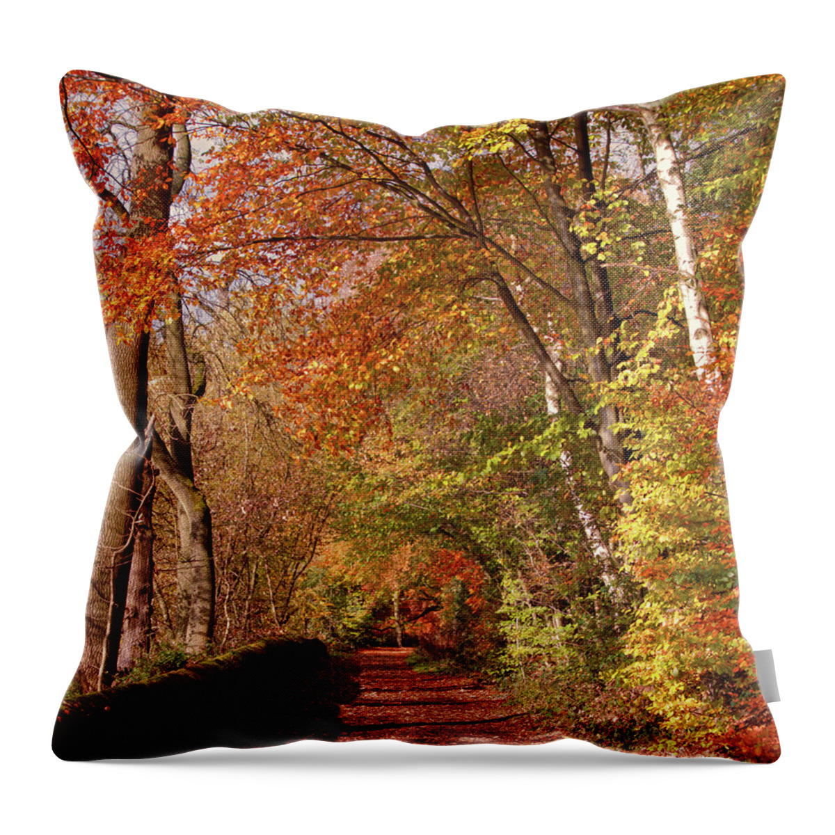 Knypersley Throw Pillow featuring the photograph Knypersley in Autumn by Stephen Melia
