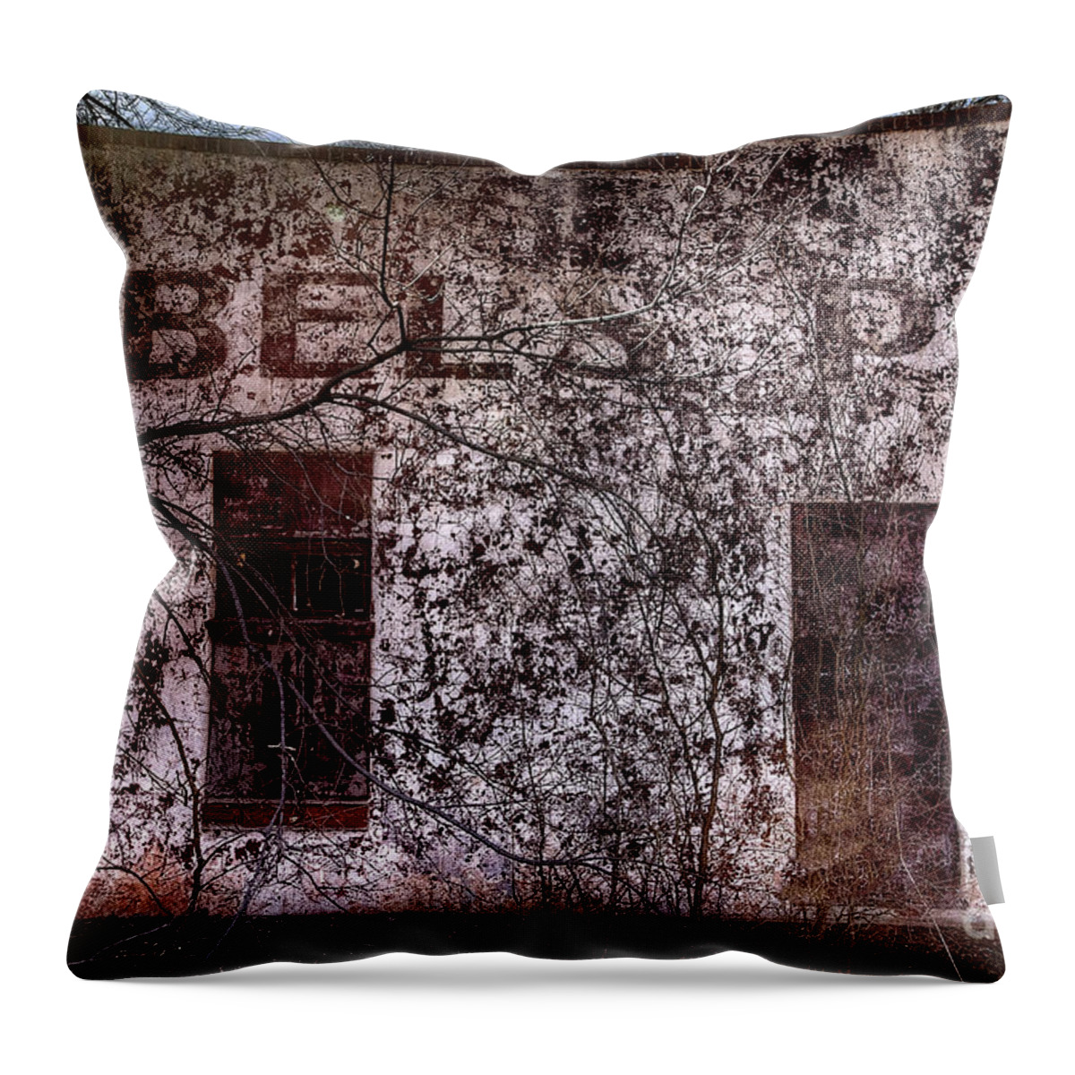 Foss Throw Pillow featuring the photograph Kobels Place by Twenty Two North Photography