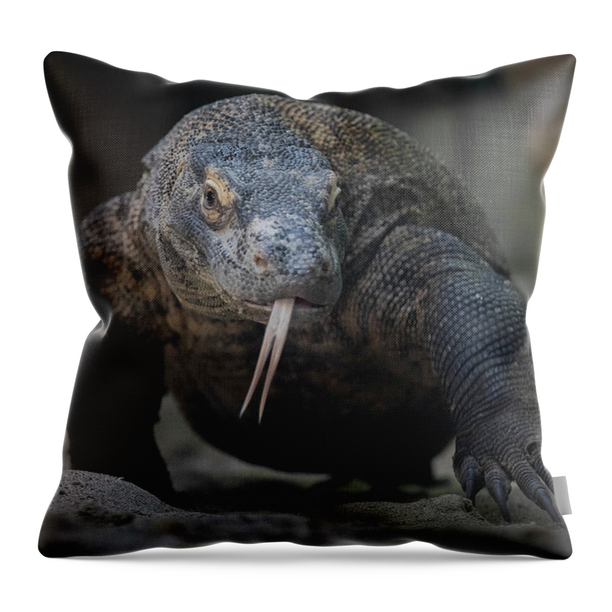 Zoo Throw Pillow featuring the photograph Komodo Dragon Crawl by Bill Cubitt