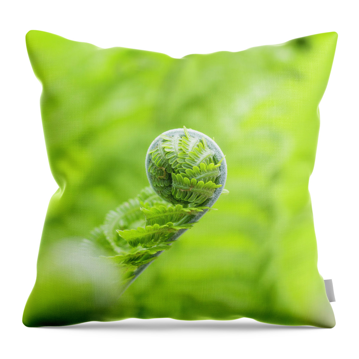 Fern Throw Pillow featuring the photograph Koru by Holly Ross