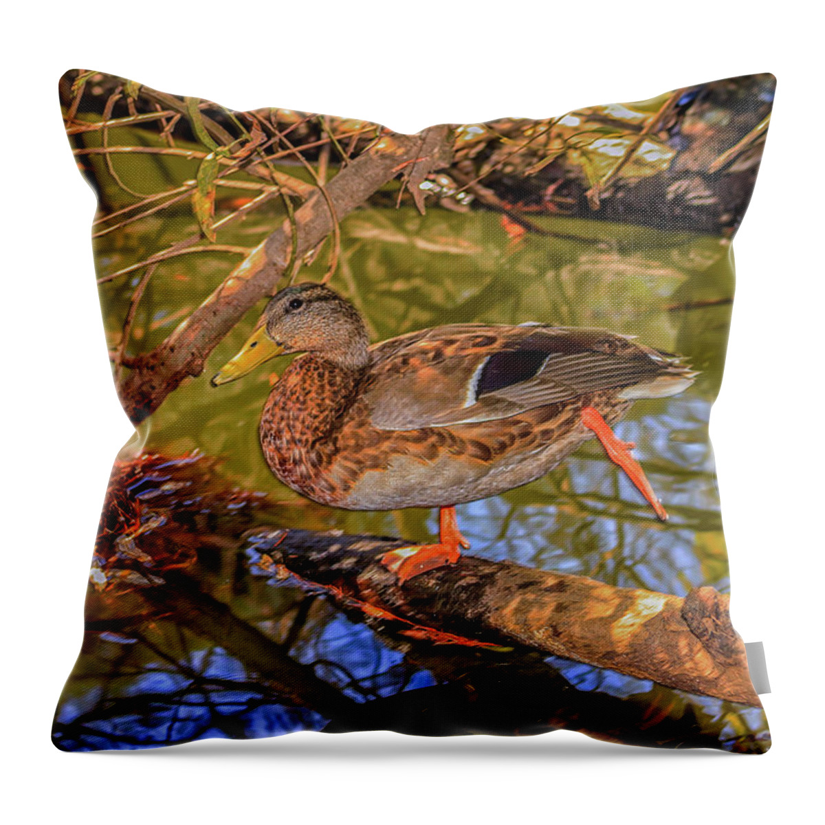  Duck Throw Pillow featuring the photograph Kung Fu Duck by Robert Hebert