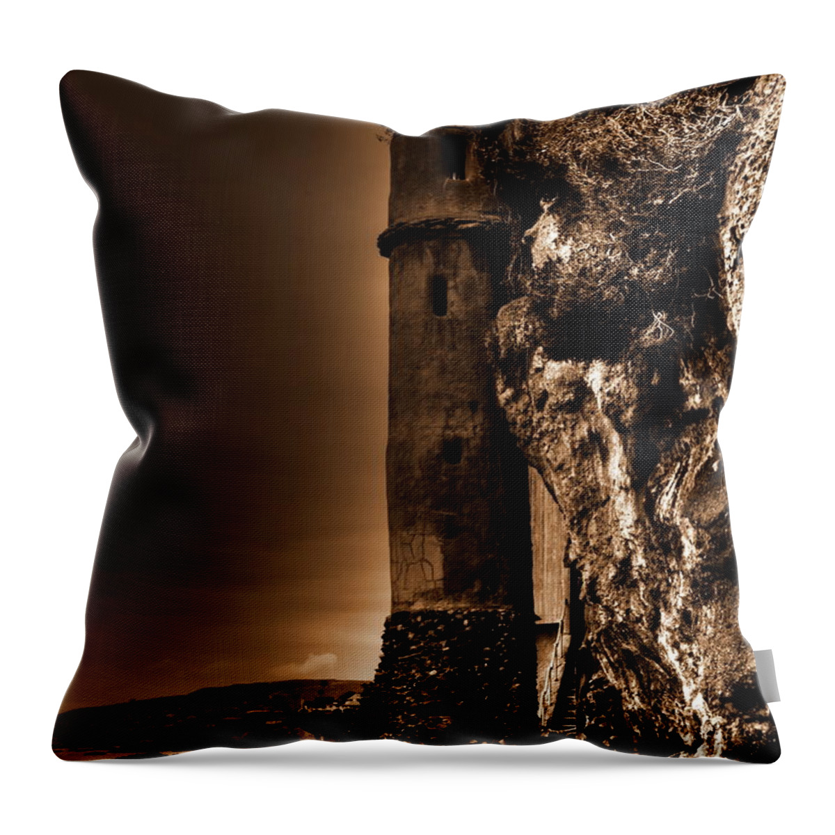 La Tour Throw Pillow featuring the photograph La Tour Upright in Sepia by Richard Omura